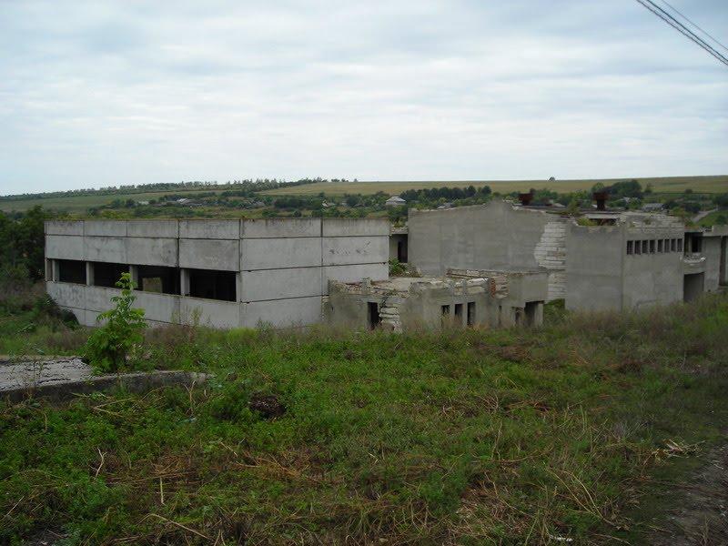 Олександрівка з panoramio.com - Олександрівка