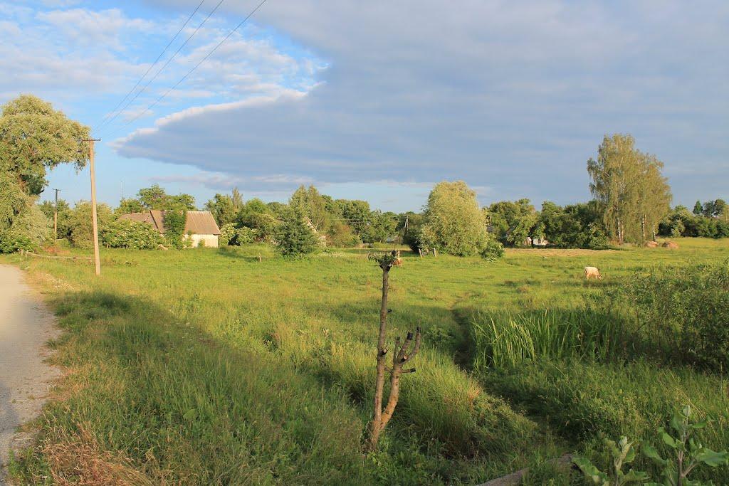 Куліші з panoramio.com - Куліші