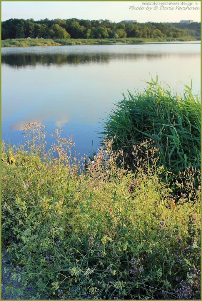 Алчевськ з panoramio.com (ч.2) - Алчевск
