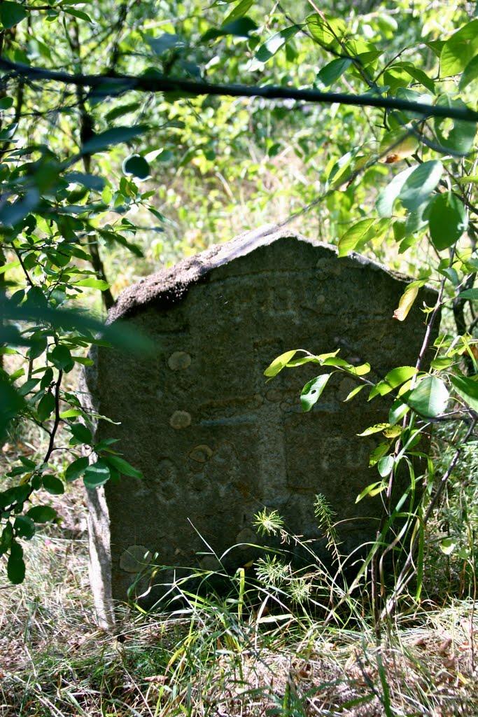 Луковиця з panoramio.com - Луковица