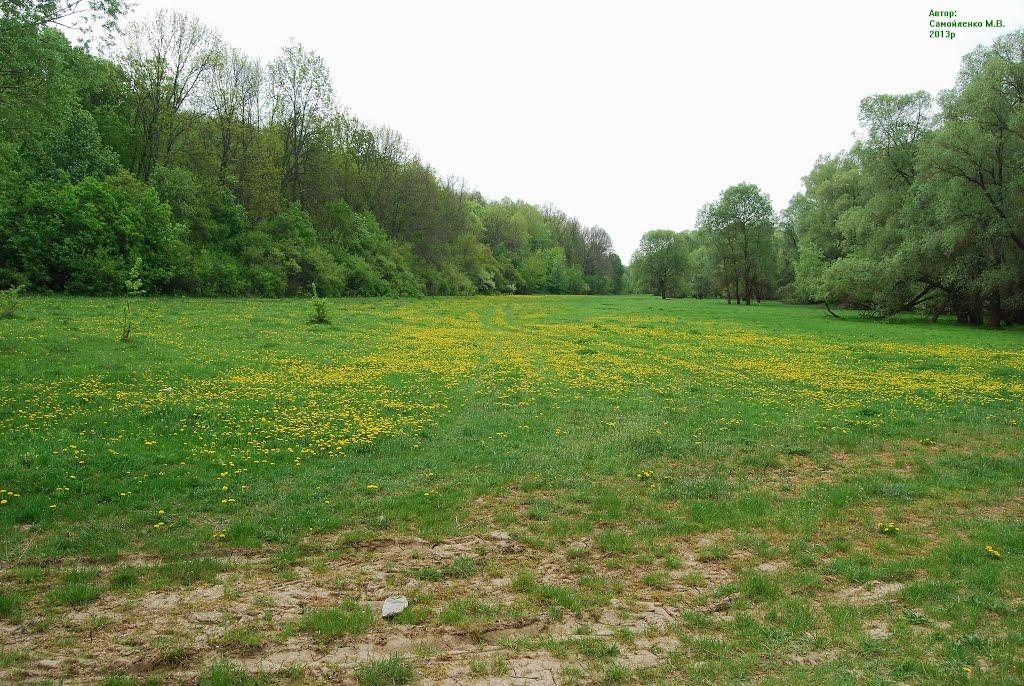 Батьки з panoramio.com - Батьки