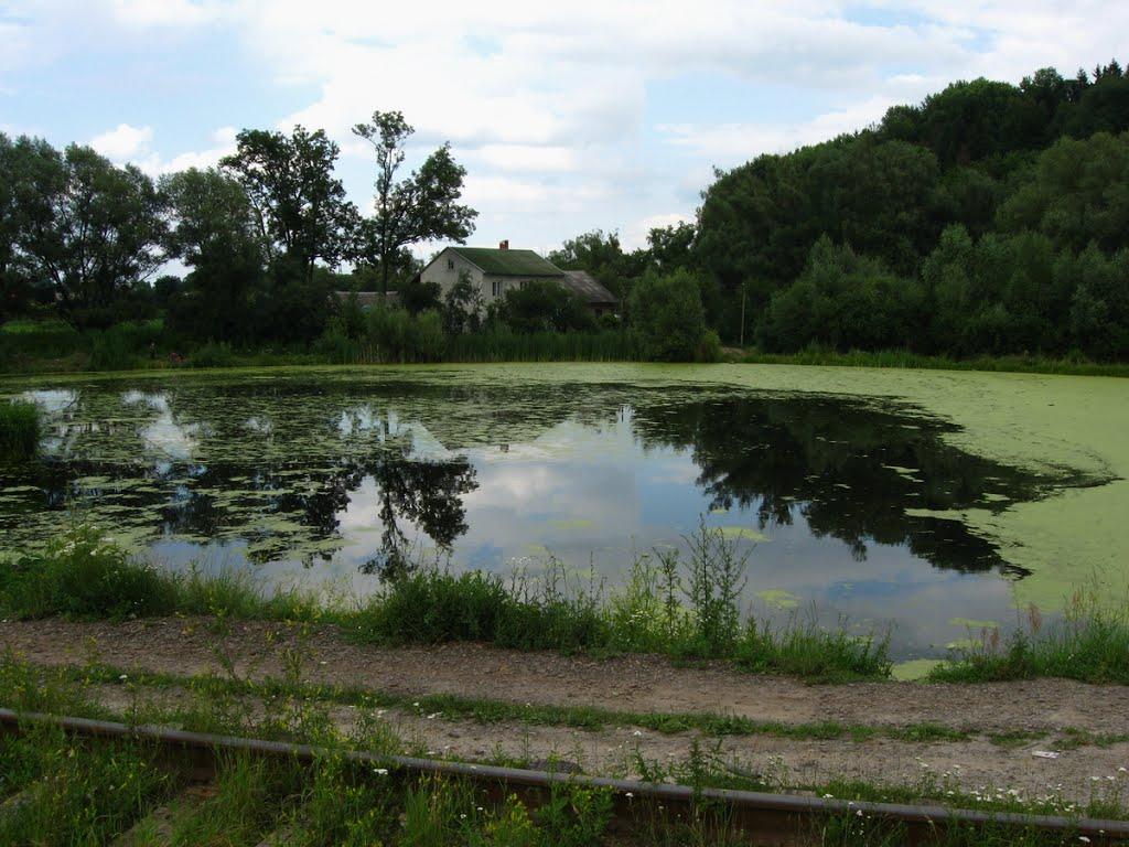 Щирець з panoramio.com - Щирець