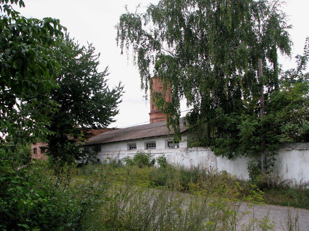 Требухівці з panoramio.com - Требуховцы
