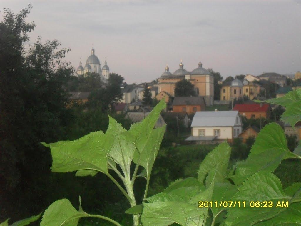 Підгайці з panoramio.com - Підгайці