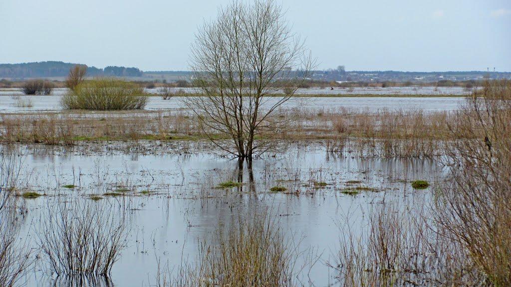 Кузнецовськ з panoramio.com - Varash