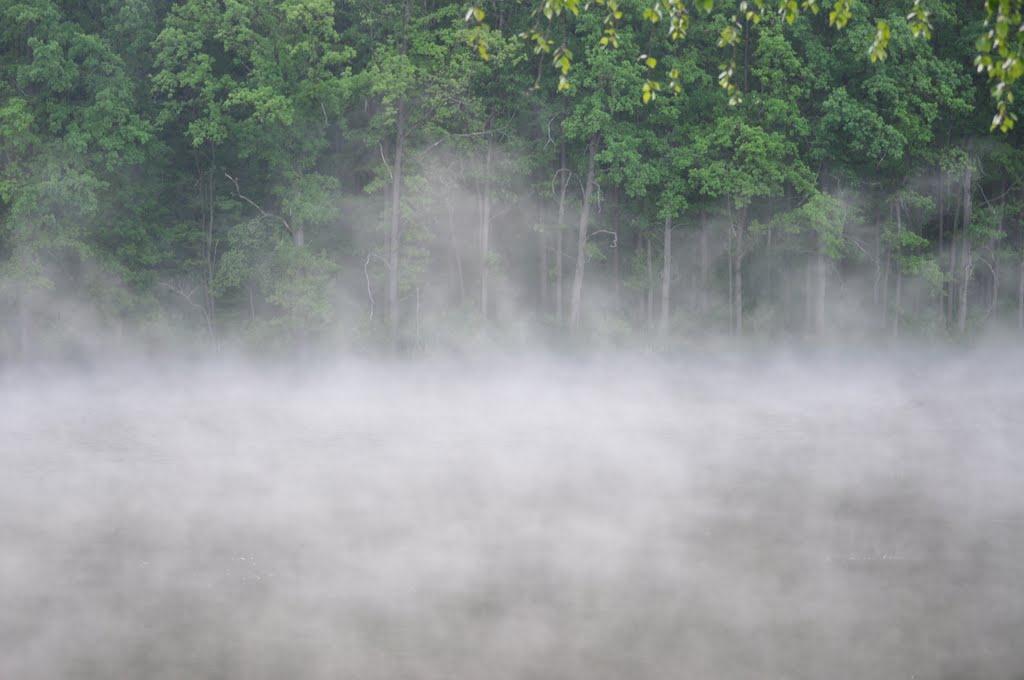 Велика Гомільша з panoramio.com - Велика Гомільша