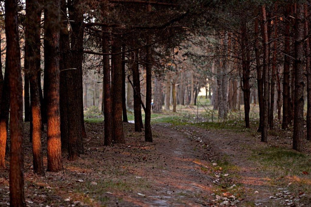 Ківерці з panoramio.com - Киверцы