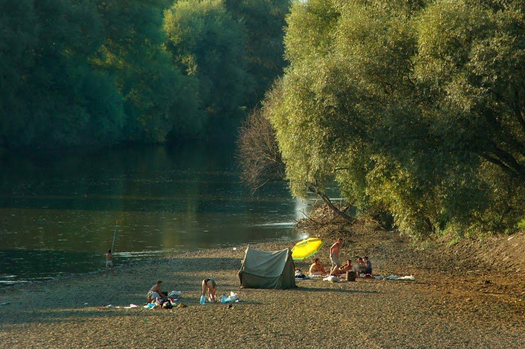 Заліски з panoramio.com - Заліски