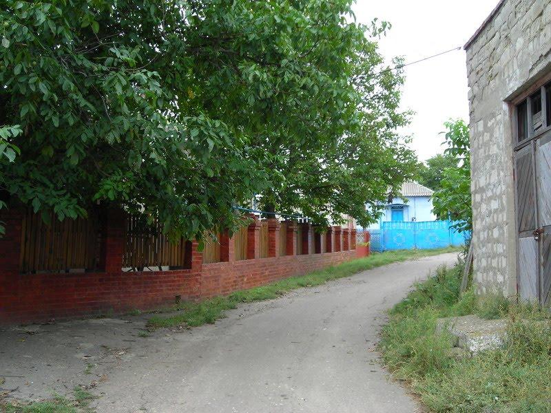 Олександрівка з panoramio.com - Олександрівка
