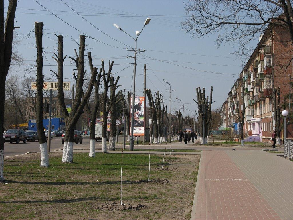 Шостка з panoramio.com - Шостка