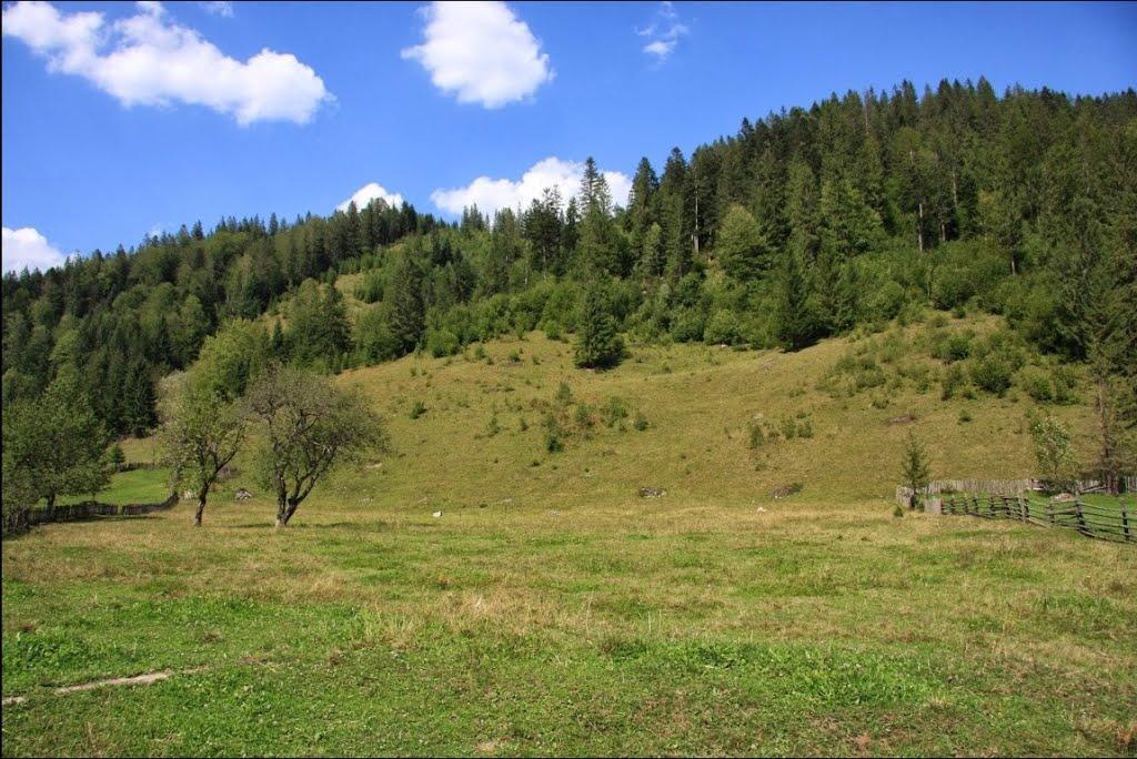 Фальків з panoramio.com (ч.2) - Фальків
