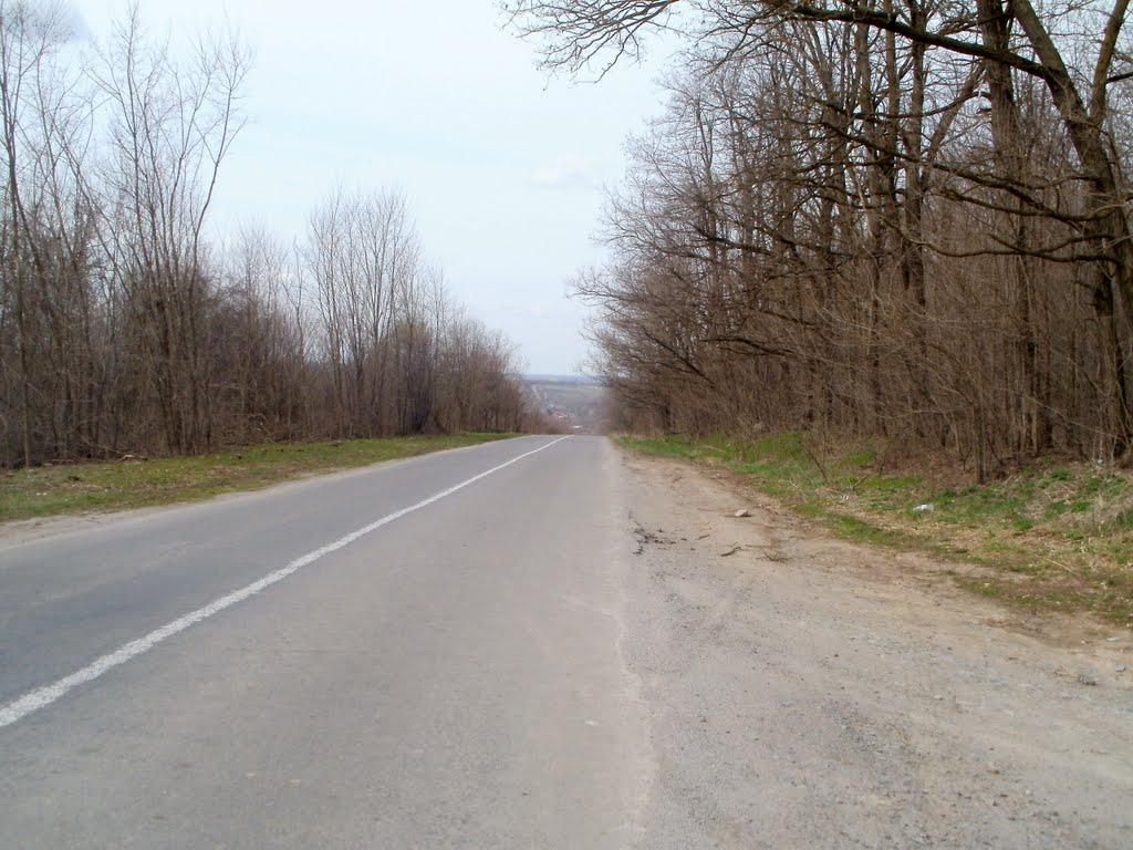 Сорокодуби з panoramio.com - Сорокодубы