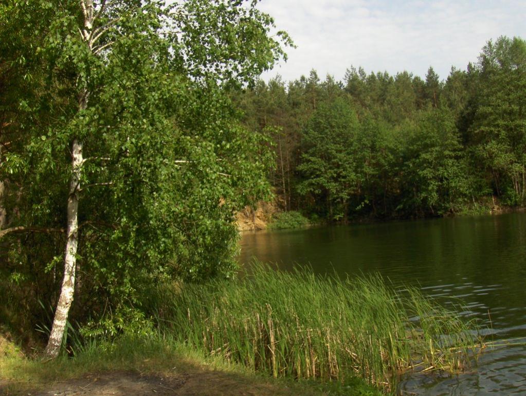 Лобачів з panoramio.com - Лобачів