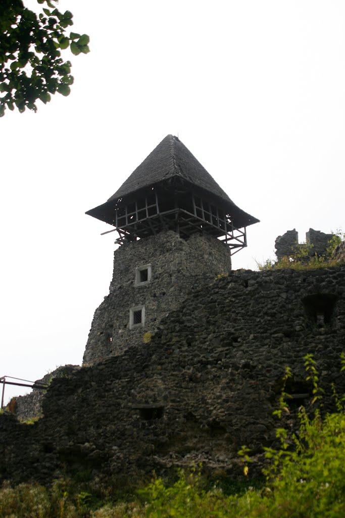 Кам'яниця з panoramio.com - Каменица