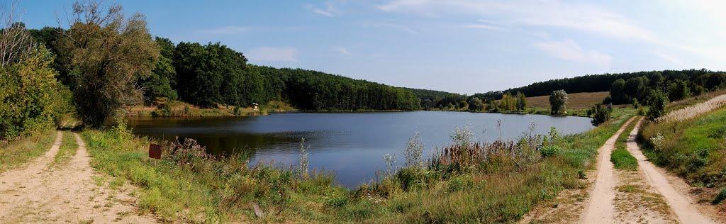 Велика Гомільша з panoramio.com - Велика Гомільша