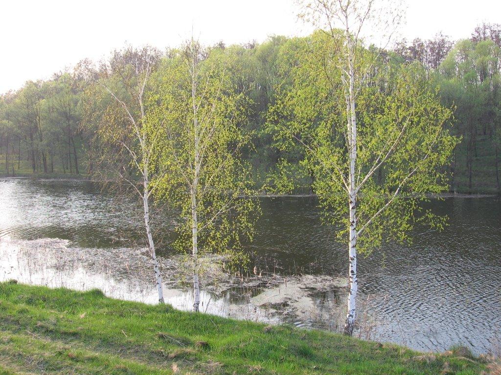 Люботин з panoramio.com (ч.2) - Lyubotyn