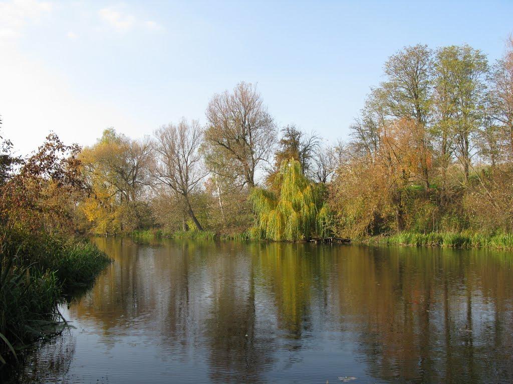 Демидівка з panoramio.com - Демидівка