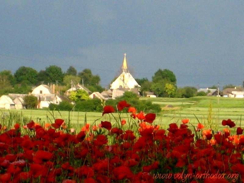 Купичів з panoramio.com - Купичів