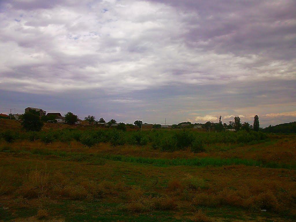 Шевченкове з panoramio.com - Шевченково