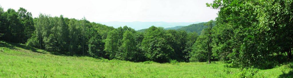 Люча з panoramio.com - Люча