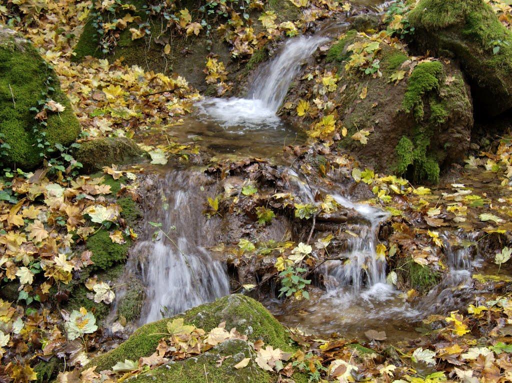 Садківці з panoramio.com - Садківці