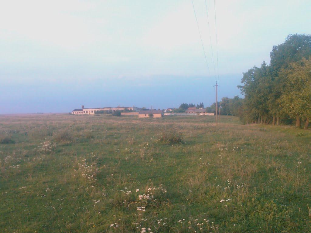 Конюшки-Королівські з panoramio.com - Конюшки-Королівські