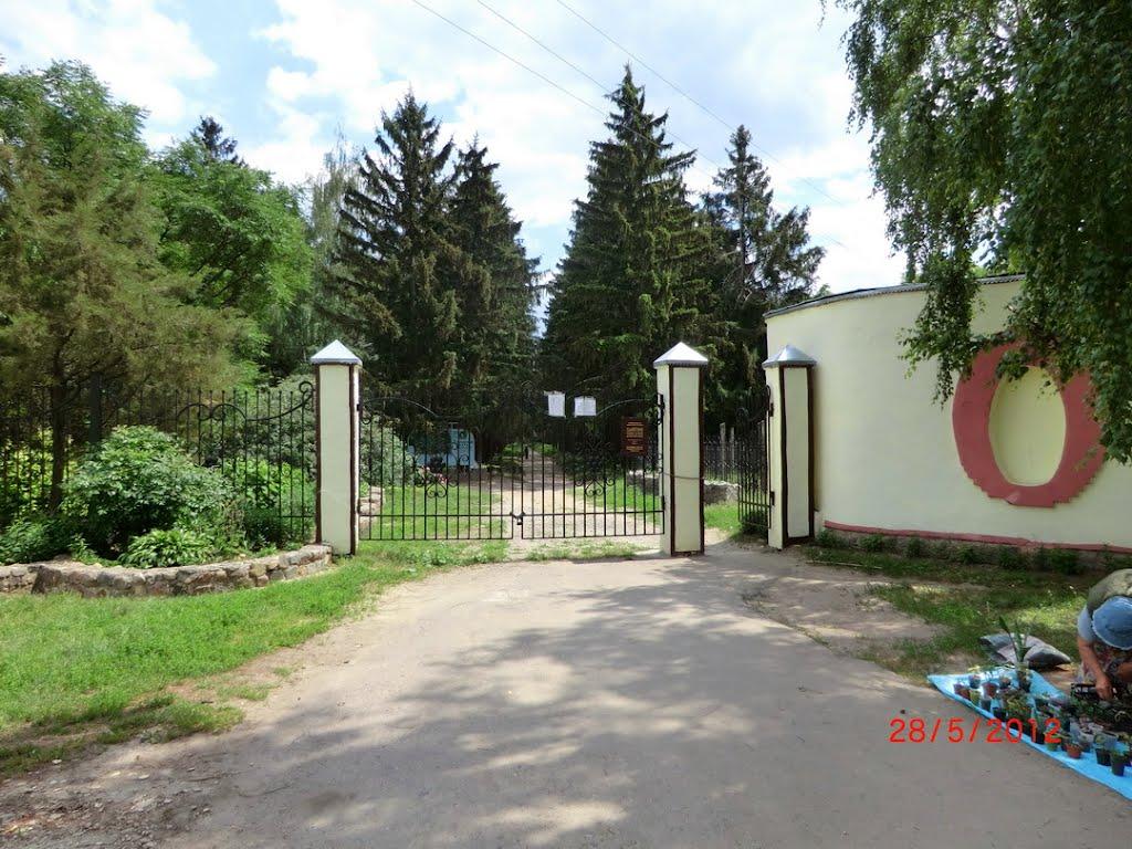 Краснокутськ з panoramio.com - Краснокутск