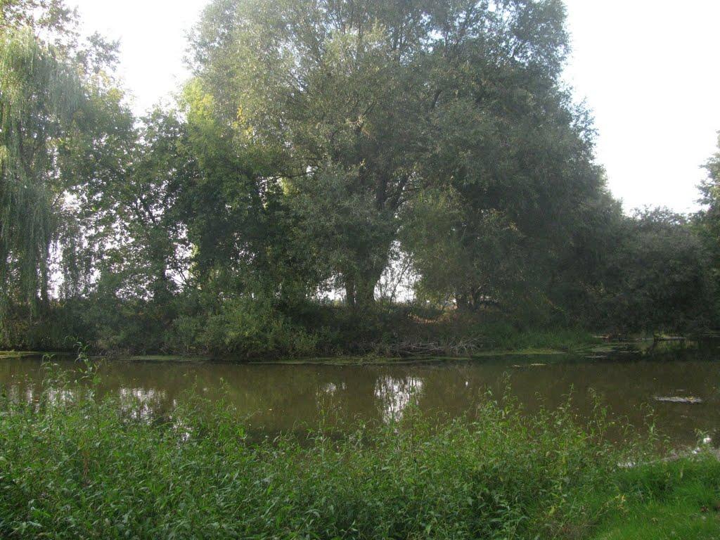 Косівка з panoramio.com - Косівка