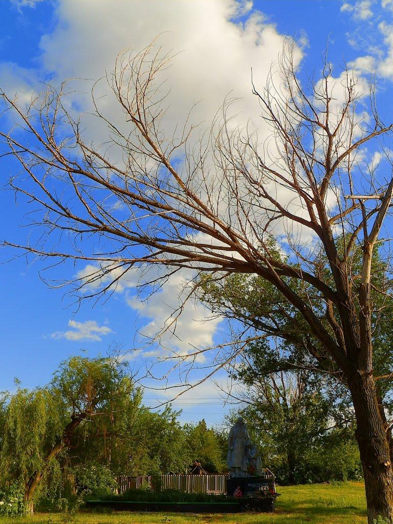 Комсомолець з panoramio.com - Комсомолец