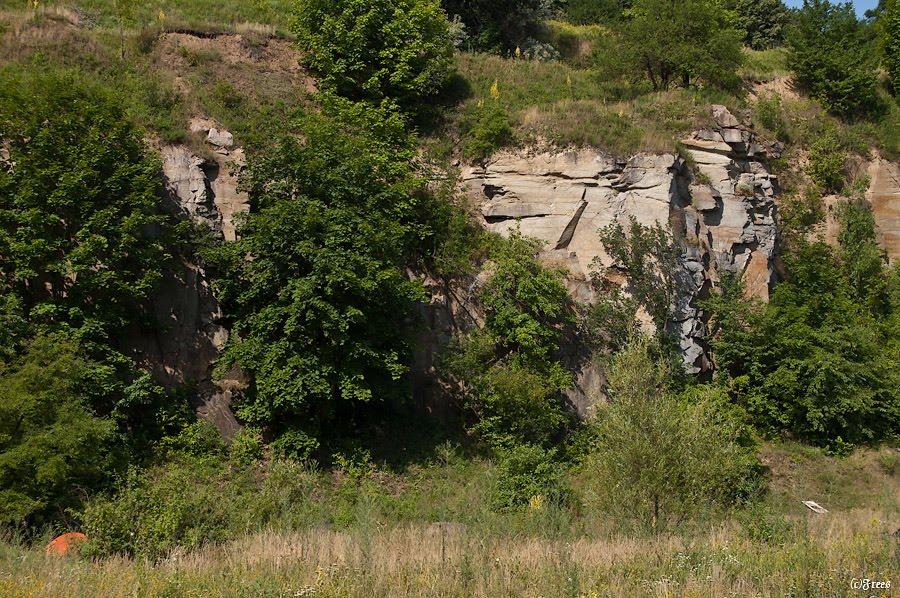 Буки з panoramio.com - Буки