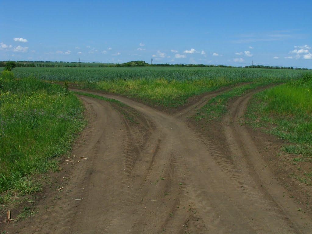 Першотравенськ з panoramio.com - Першотравенск