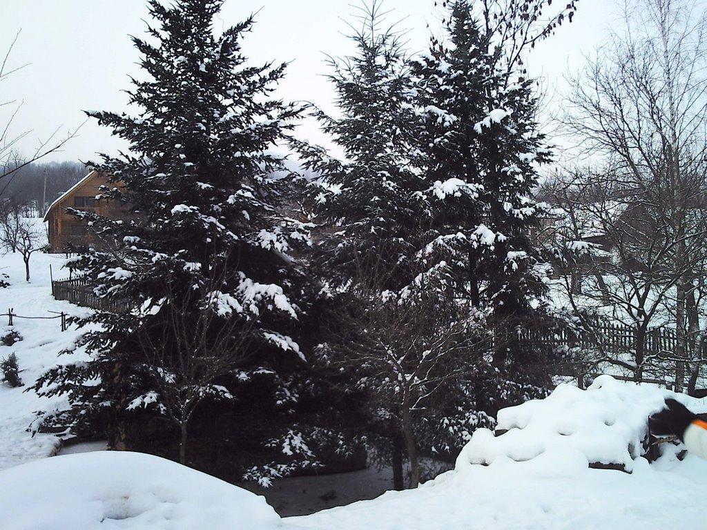 Вишка з panoramio.com - Vyshka