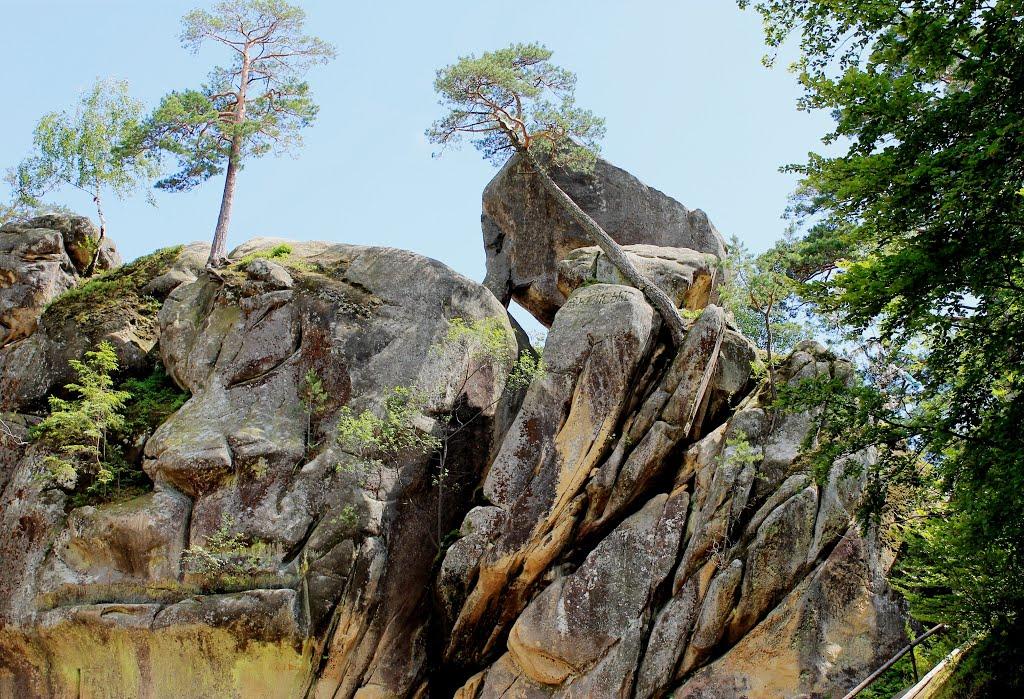 Поляниця з panoramio.com - Поляница