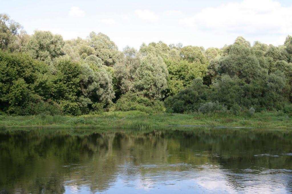 Голубів з panoramio.com - Голубев