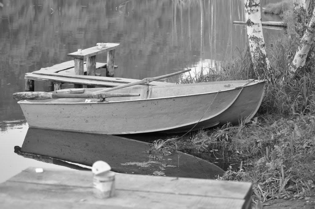 Велика Гомільша з panoramio.com - Велика Гомільша