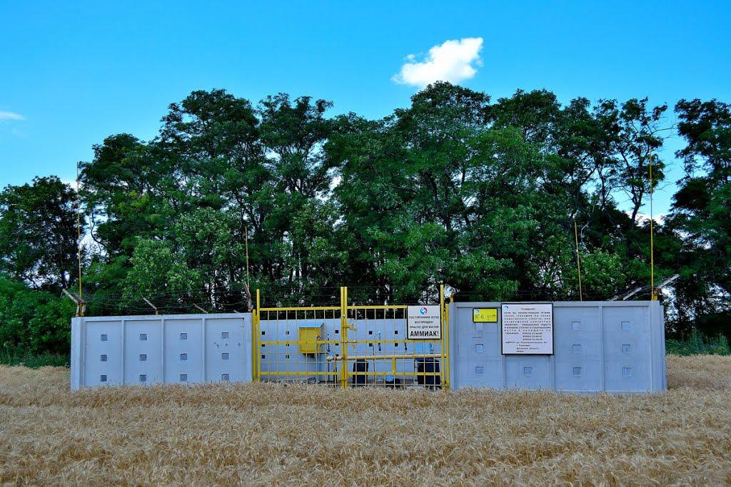 Страсне з panoramio.com - Страстное