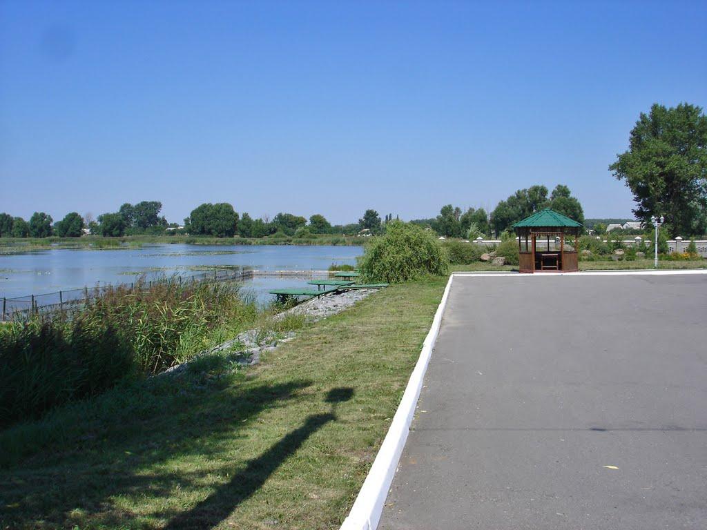 Вінницькі Стави з panoramio.com - Вінницькі Стави