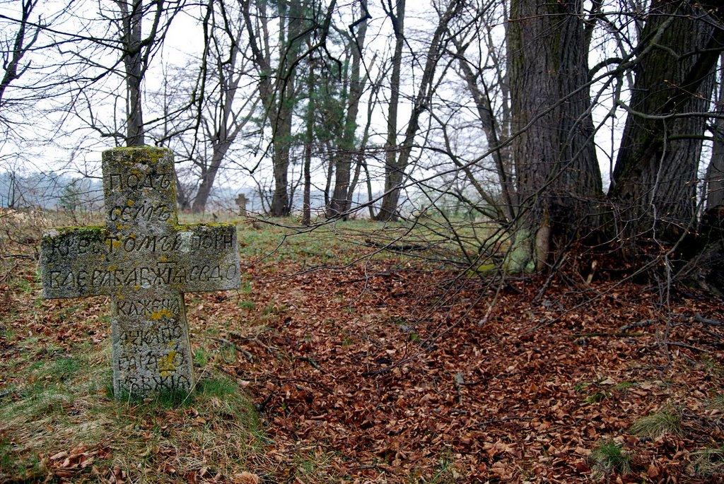 Шаварі з panoramio.com - Шаварі