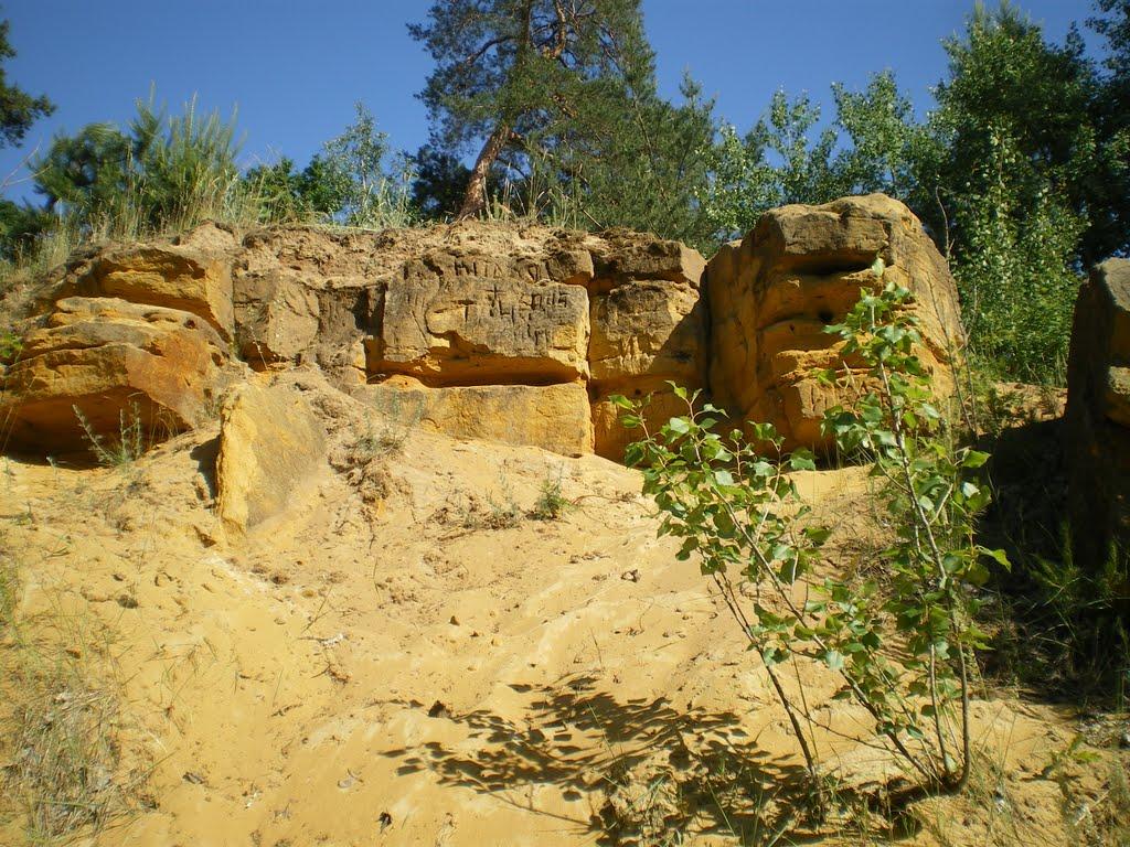 Чернеччина з panoramio.com - Чернеччина