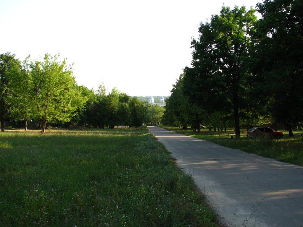 Люботин з panoramio.com (ч.2) - Lyubotyn