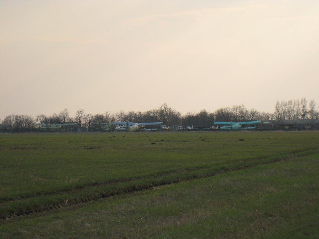 Весела Тарасівка з panoramio.com - Весела Тарасівка