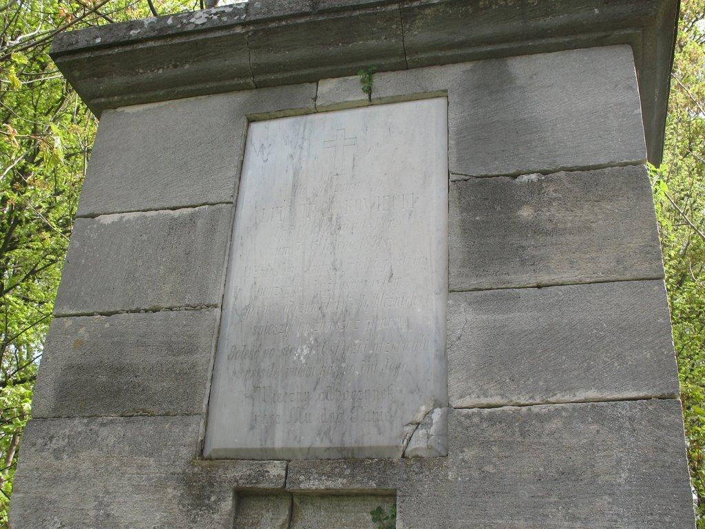 Малиничі з panoramio.com - Малиничі