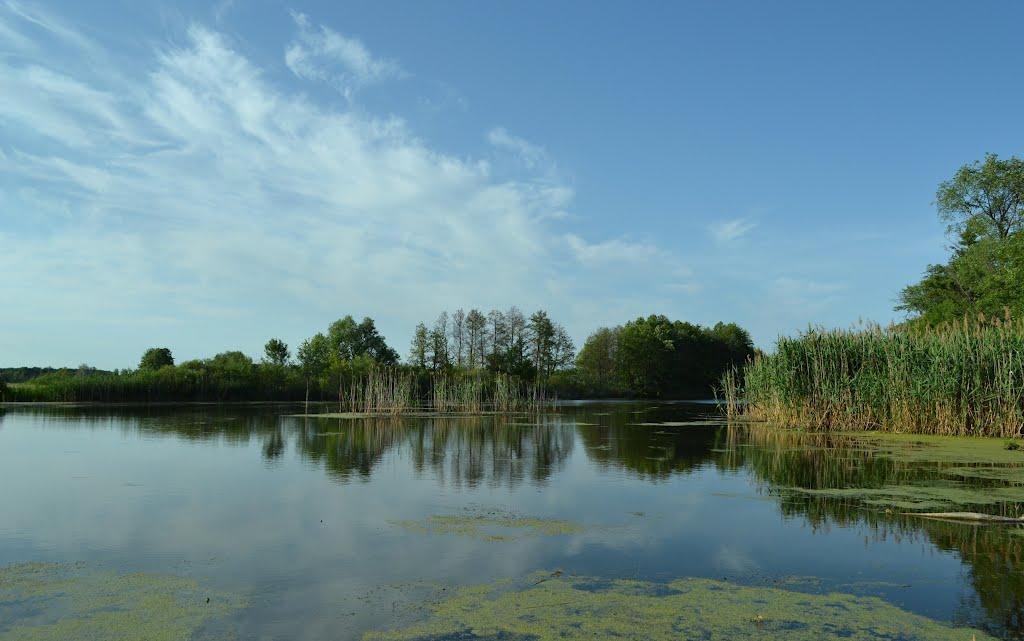 Головач з panoramio.com - Головач