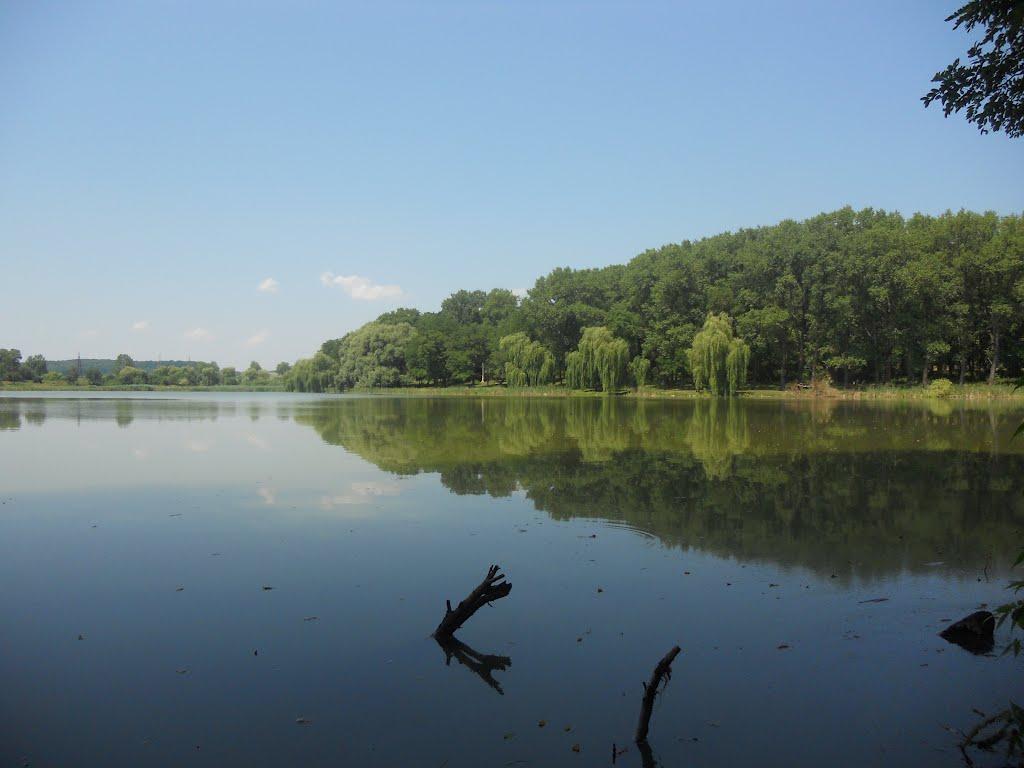 Новий Розділ з panoramio.com - Новый Роздол