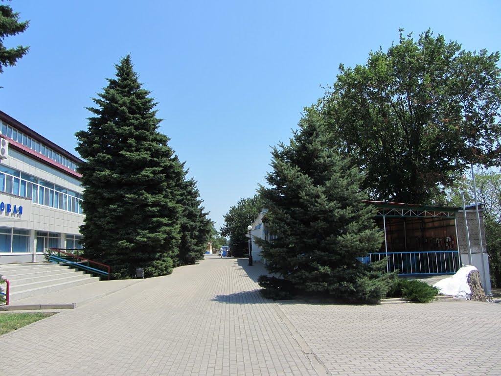 Урзуф з panoramio.com - Урзуф