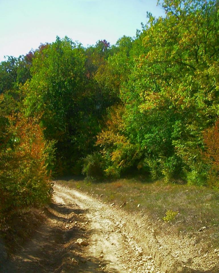 Верхоріччя з panoramio.com - Верхоречье