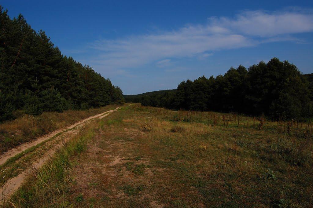 Велика Гомільша з panoramio.com - Велика Гомільша