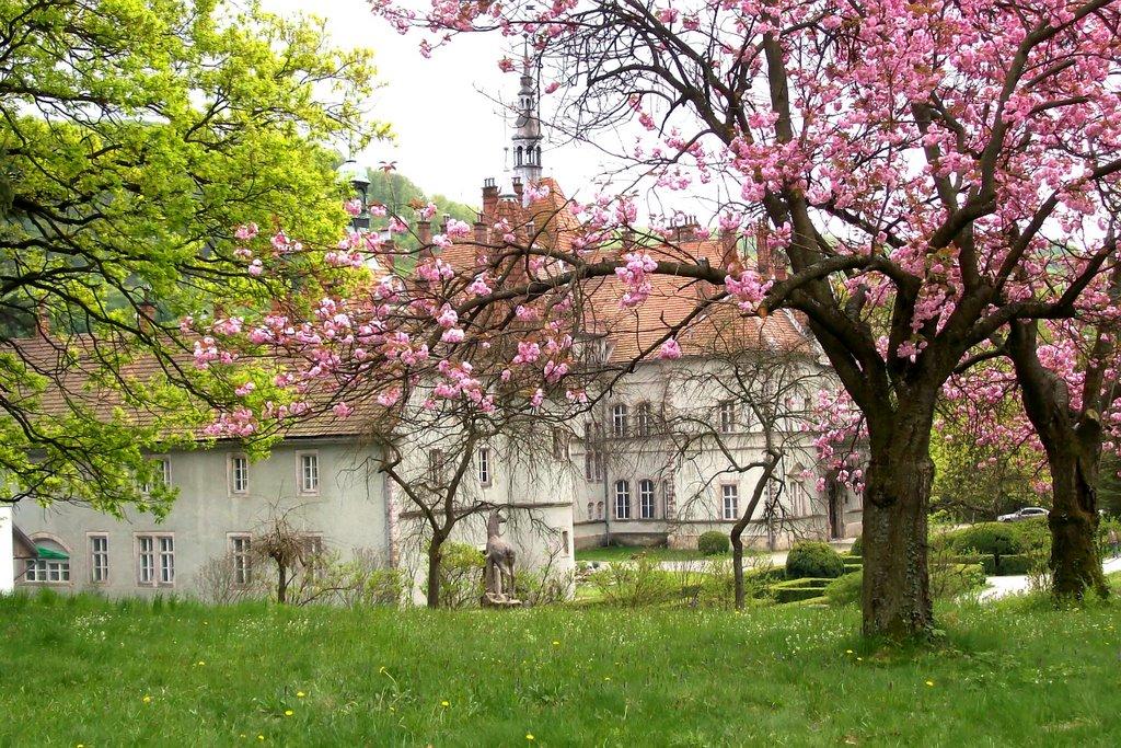 Карпати з panoramio.com - Карпаты