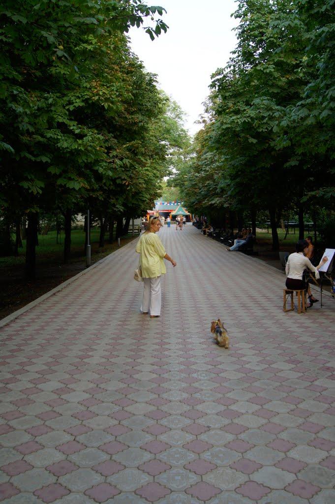 Стаханов з panoramio.com - Стаханов