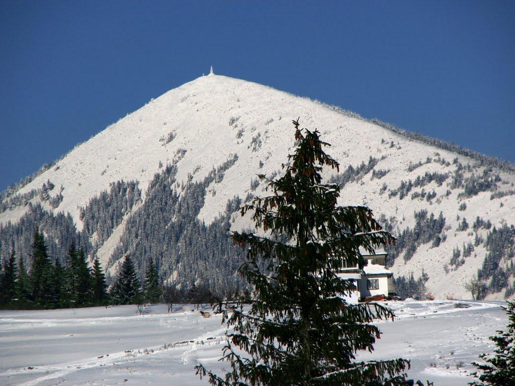 Вороненко з panoramio.com - Вороненко